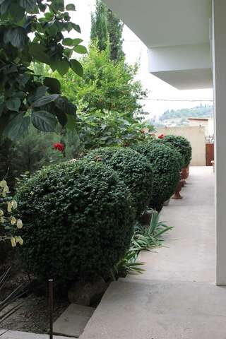 Гостиница Оазис Солнечногорское-4